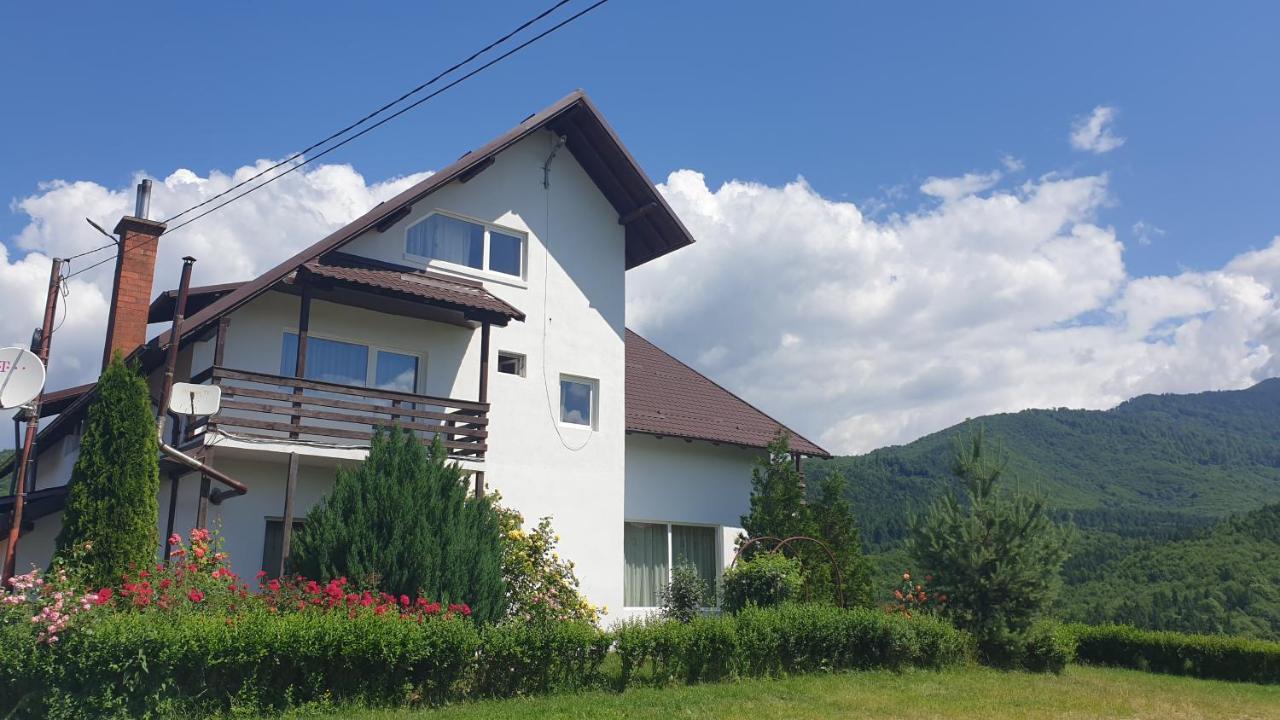 Valea Doamnei Hotel Nucsoara  ภายนอก รูปภาพ