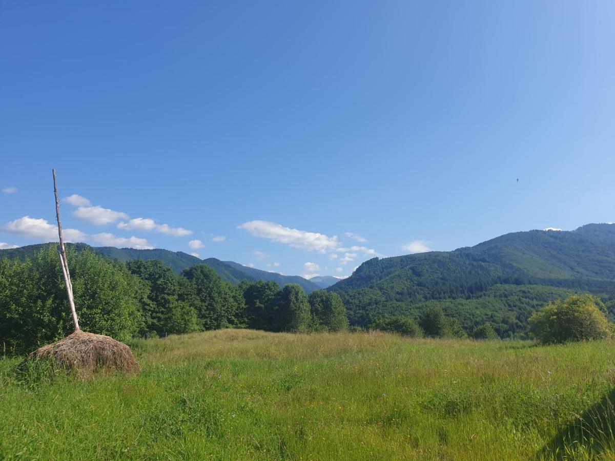 Valea Doamnei Hotel Nucsoara  ภายนอก รูปภาพ