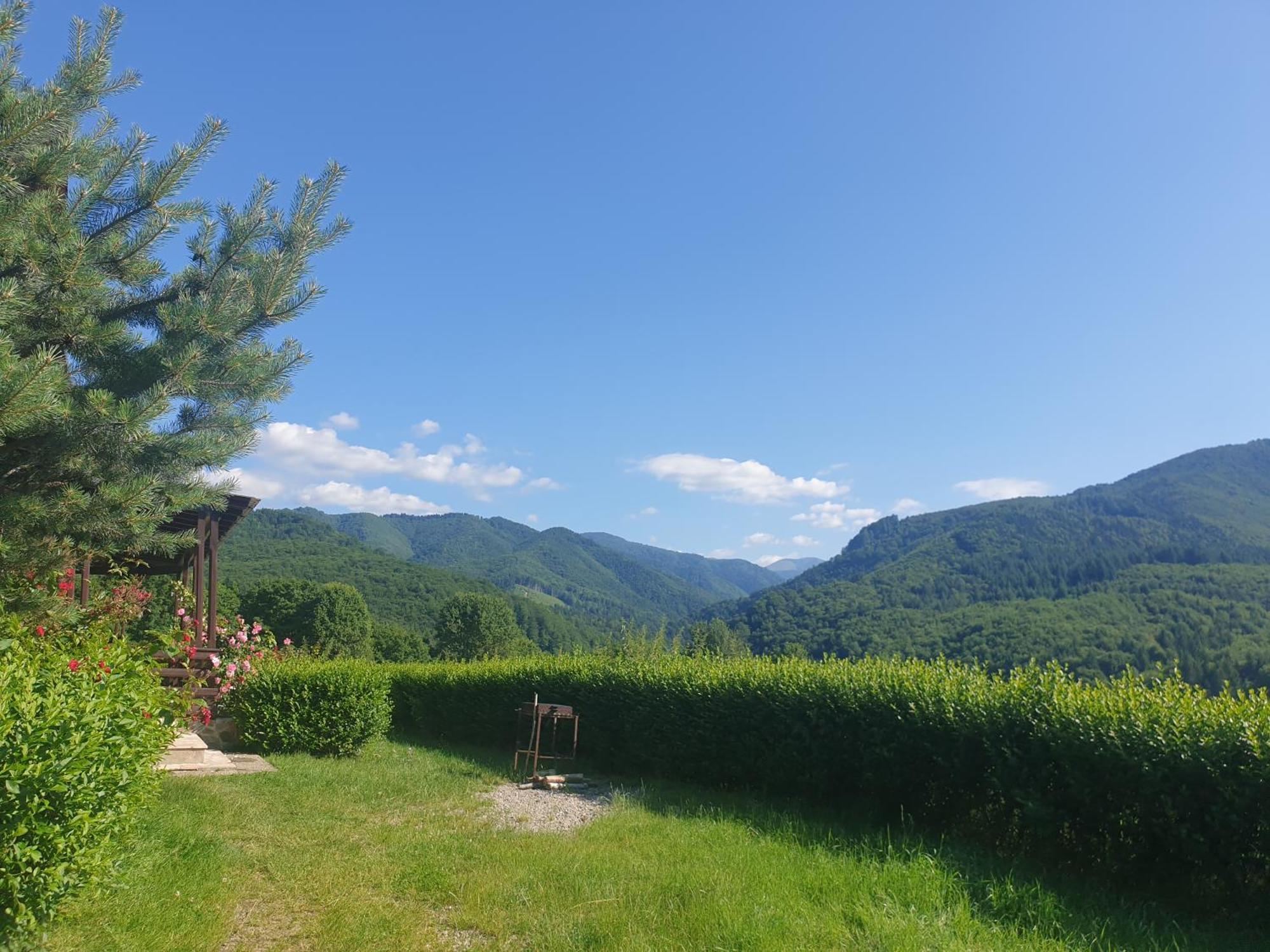 Valea Doamnei Hotel Nucsoara  ภายนอก รูปภาพ