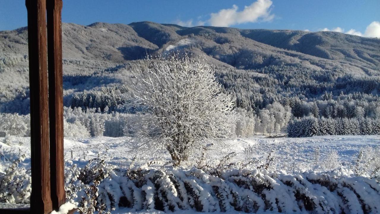 Valea Doamnei Hotel Nucsoara  ภายนอก รูปภาพ