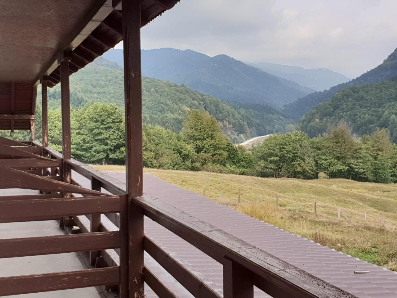 Valea Doamnei Hotel Nucsoara  ภายนอก รูปภาพ