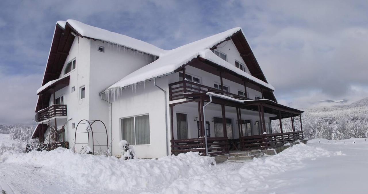 Valea Doamnei Hotel Nucsoara  ภายนอก รูปภาพ